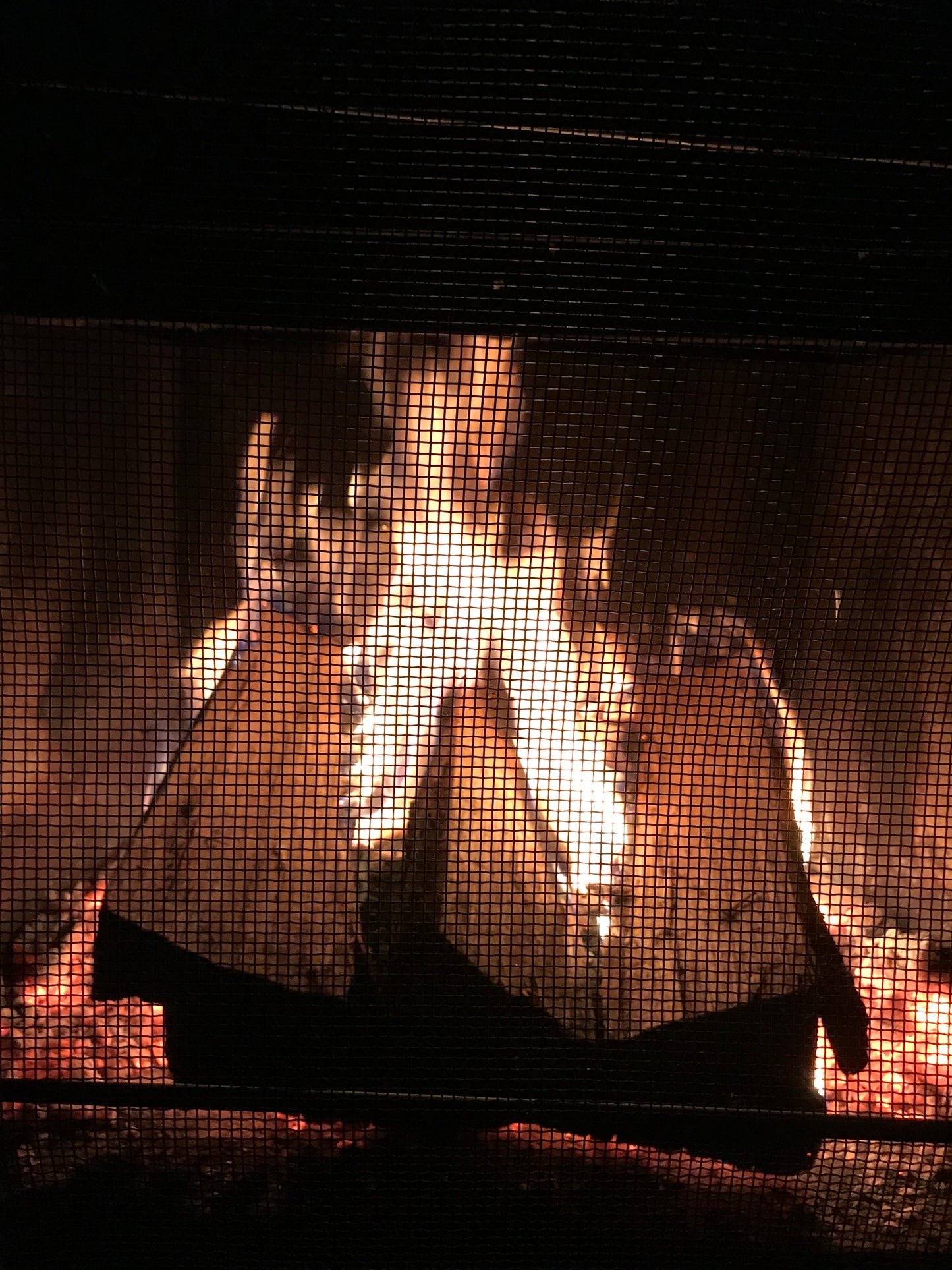 Kiln Dried FireWood Bundles