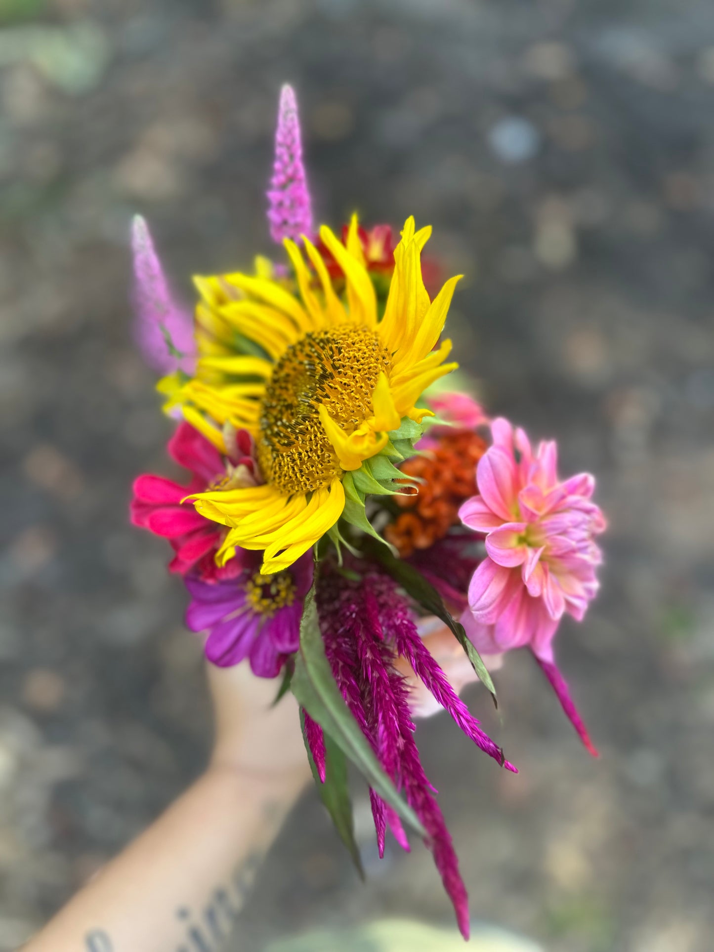 Grower’s Choice Bouquet – Fresh From the Field