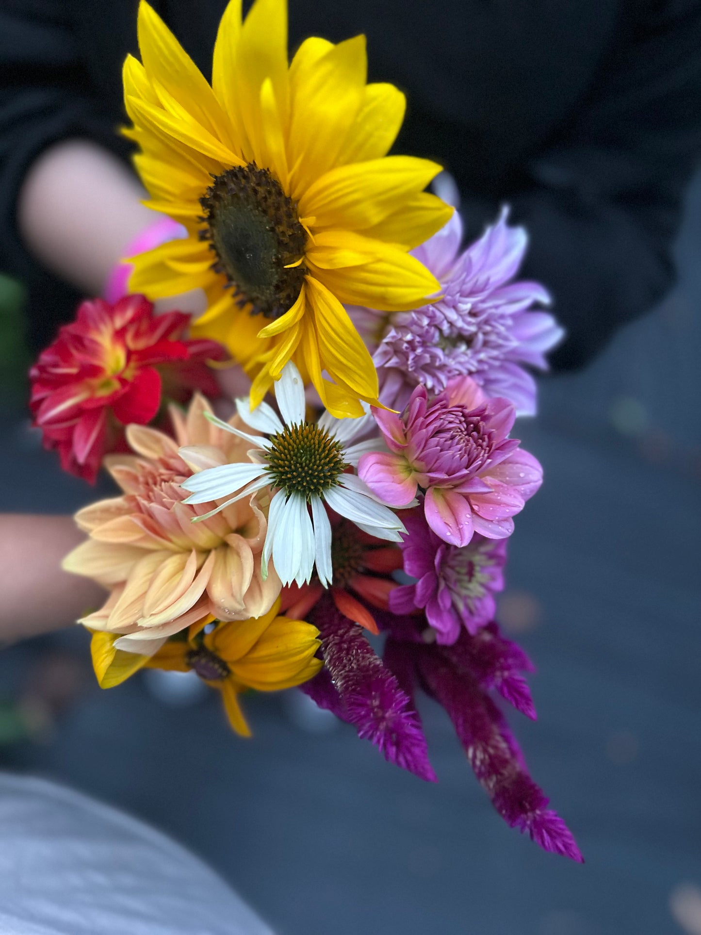 Grower’s Choice Bouquet – Fresh From the Field