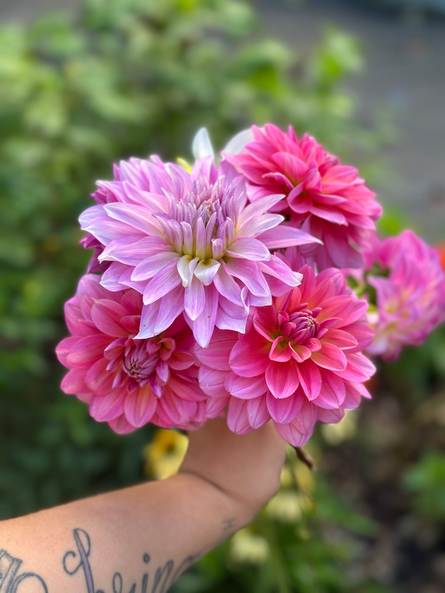 Grower’s Choice Bouquet – Fresh From the Field
