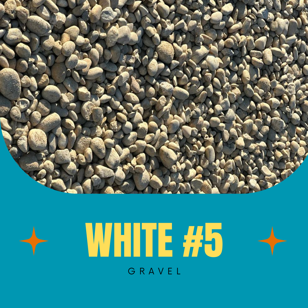 White #5